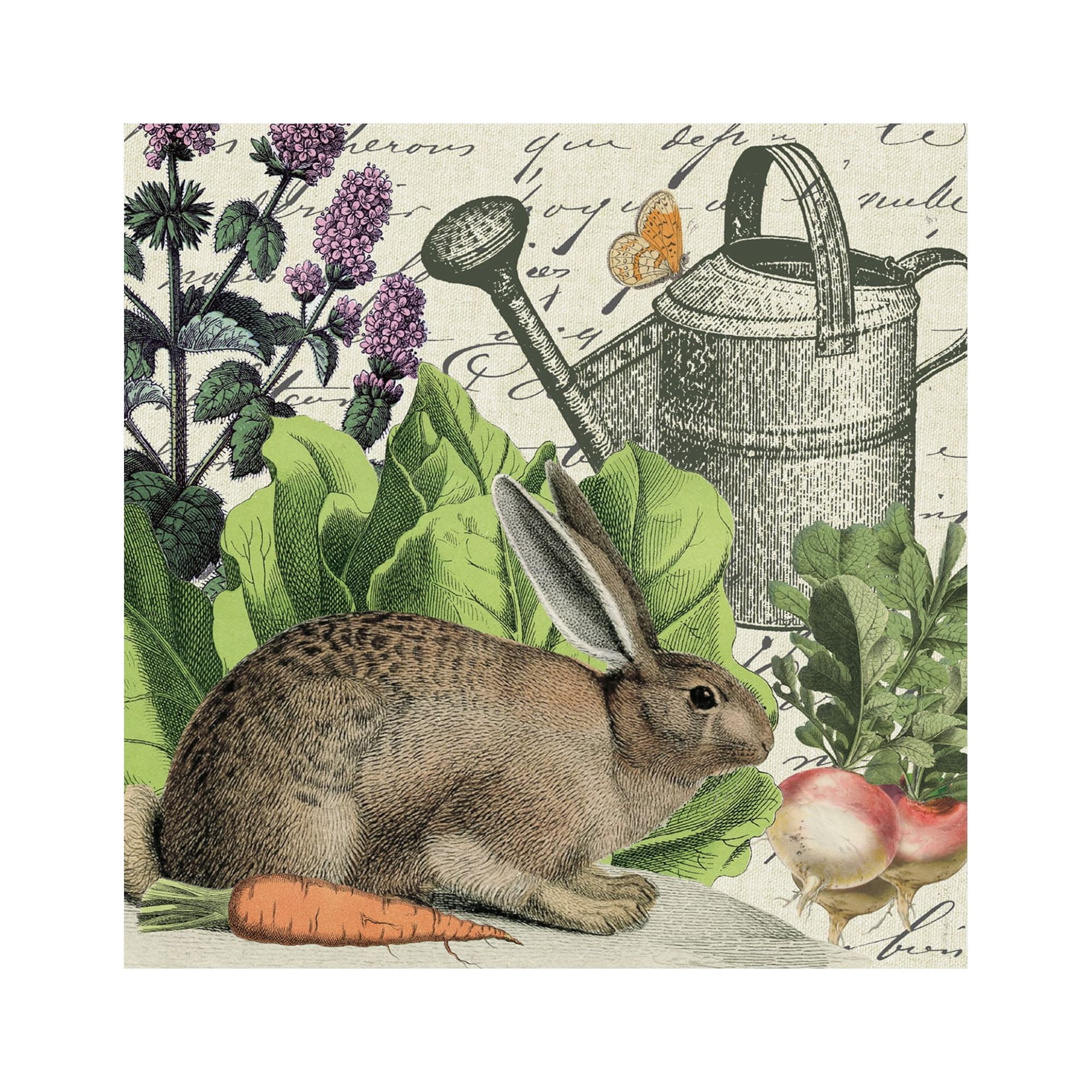 Trademark Fine Art 'Garden Rabbit I' Canvas Art by Wild Apple Portfolio