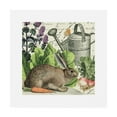 thumbnail image 1 of Trademark Fine Art 'Garden Rabbit I' Canvas Art by Wild Apple Portfolio, 1 of 4