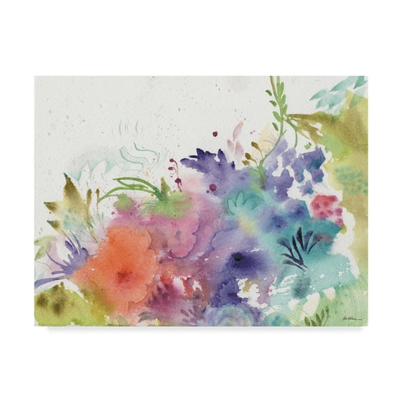 Trademark Fine Art 'Garden Rainbows' Canvas Art by Sheila Golden