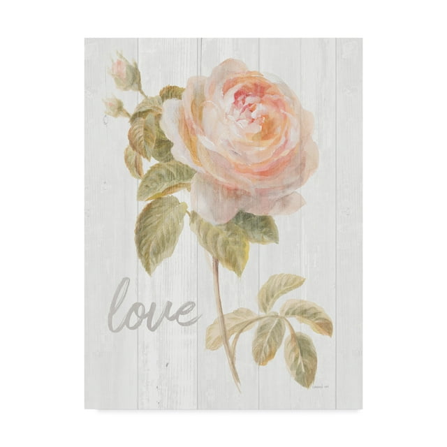 Trademark Fine Art 'Garden Rose on Wood Love' Canvas Art by Danhui Nai