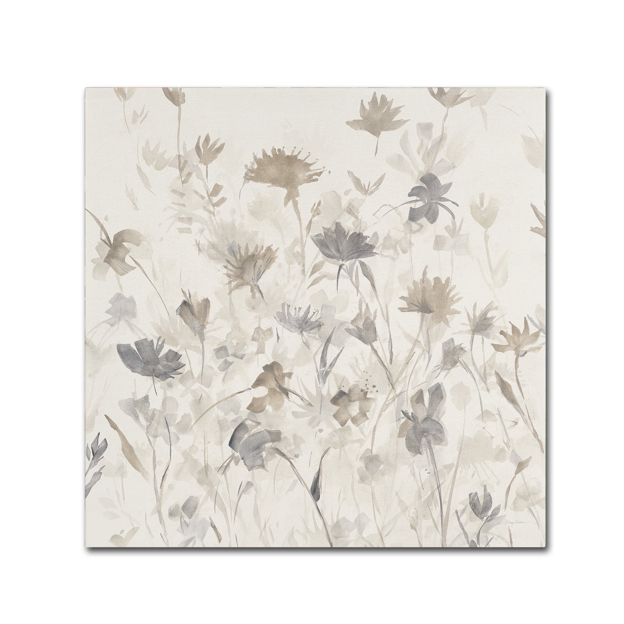 Trademark Fine Art "Garden Shadows III" Canvas Art by Avery Tillmon