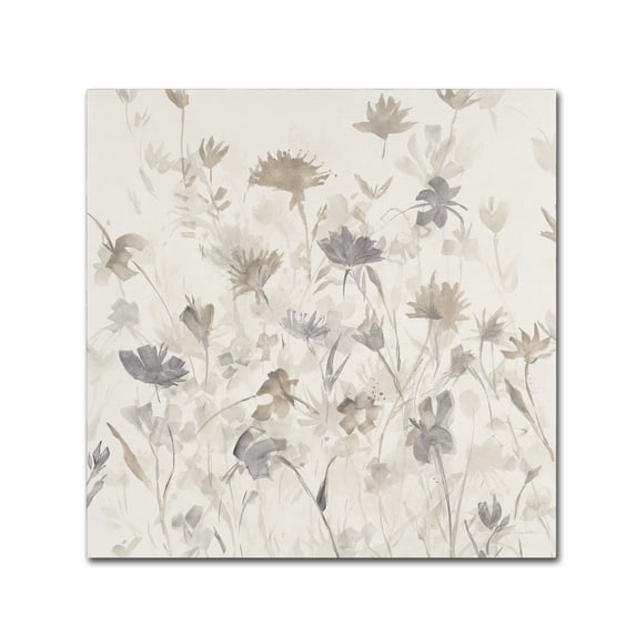 Trademark Fine Art "Garden Shadows III" Canvas Art by Avery Tillmon