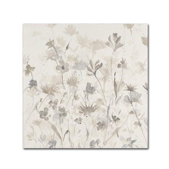 Trademark Fine Art "Garden Shadows IV" Canvas Art by Avery Tillmon