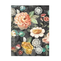 Trademark Fine Art 'Garden of Delight Black II' Canvas Art by Danhui Nai