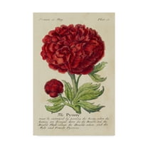 Trademark Fine Art 'Gardeners Guide III' Canvas Art by Unknown