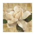 thumbnail image 1 of Trademark Fine Art 'Gardenia Blossom On Script' Canvas Art by Albena Hristova, 1 of 3