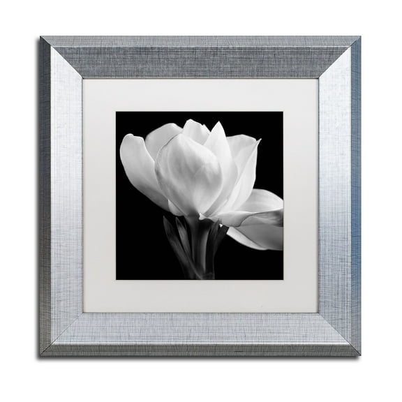 Trademark Fine Art "Gardenia" Canvas Art by Michael Harrison White Matte, Silver Frame