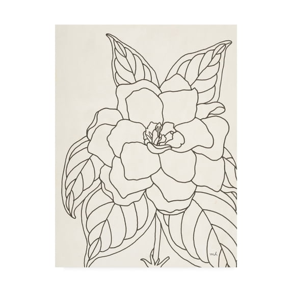 Trademark Fine Art 'Gardenia Line Drawing Crop' Canvas Art by Moira Hershey