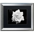 thumbnail image 1 of Trademark Fine Art "Gardenia in Black and White" Canvas Art by Kurt Shaffer, Black Matte, Silver Frame, 1 of 4