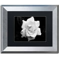 thumbnail image 1 of Trademark Fine Art "Gardenia in Black and White" Canvas Art by Kurt Shaffer, Black Matte, Silver Frame, 1 of 4