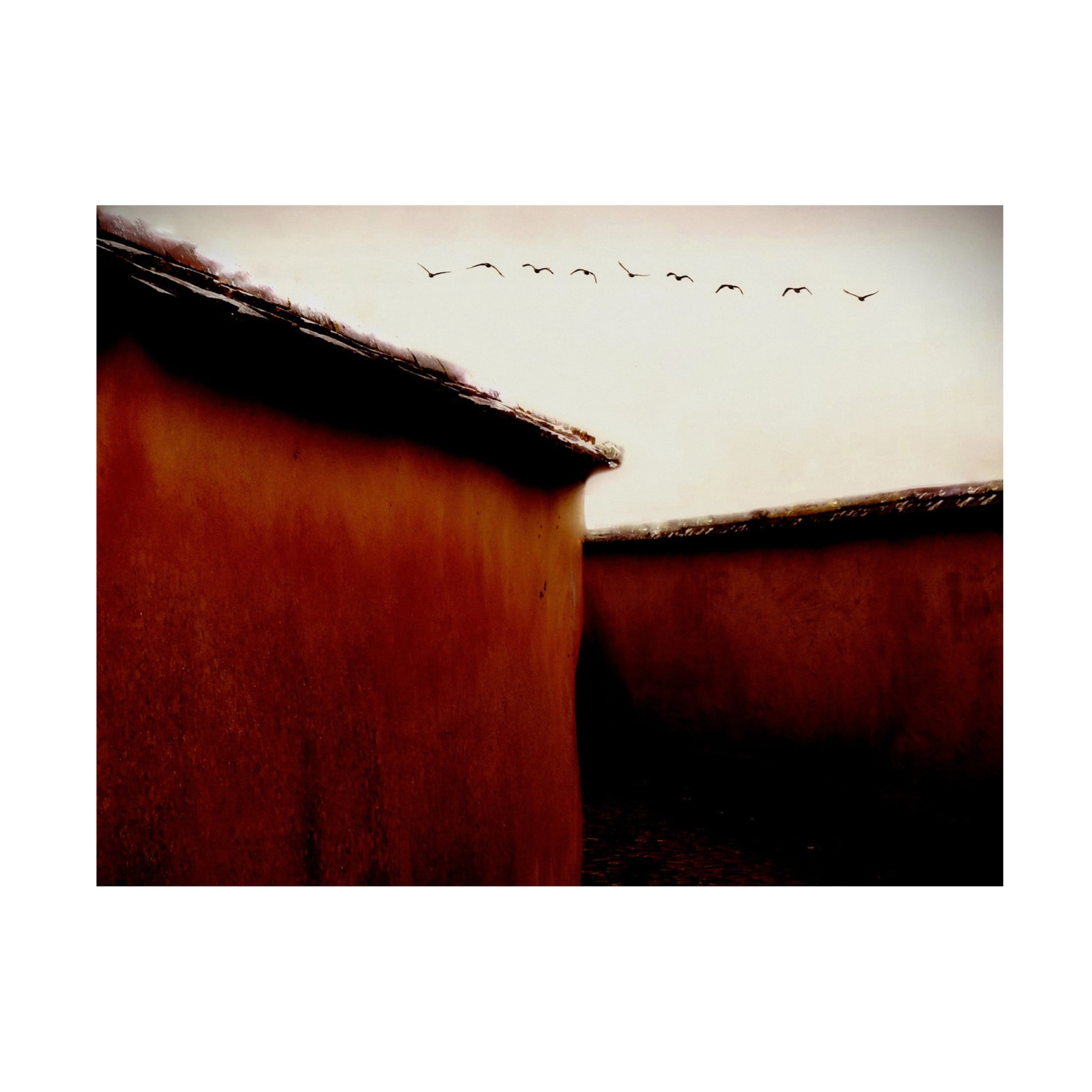 Trademark Fine Art Gareth Thomas  Leaving For Winter Canvas Wall Art