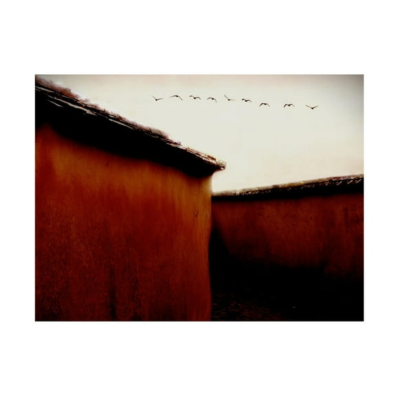 Trademark Fine Art Gareth Thomas  Leaving For Winter Canvas Wall Art