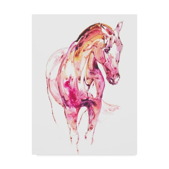 Trademark Fine Art 'Garnet Horse III' Canvas Art by Julie T. Chapman