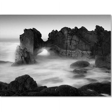 Trademark Fine Art "Gate" Canvas Art by Moises Levy