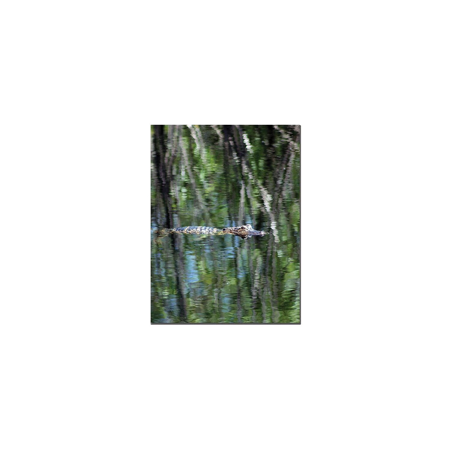 Trademark Fine Art "Gator Camouflage" Canvas Art by Patty Tuggle