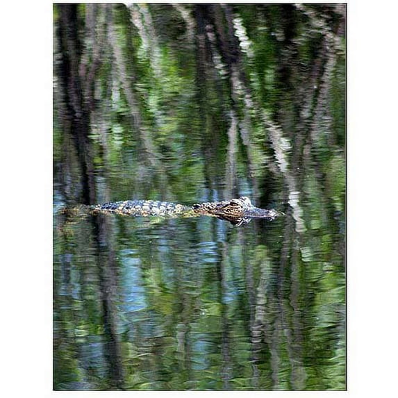 Trademark Fine Art "Gator Camouflage" Canvas Art by Patty Tuggle