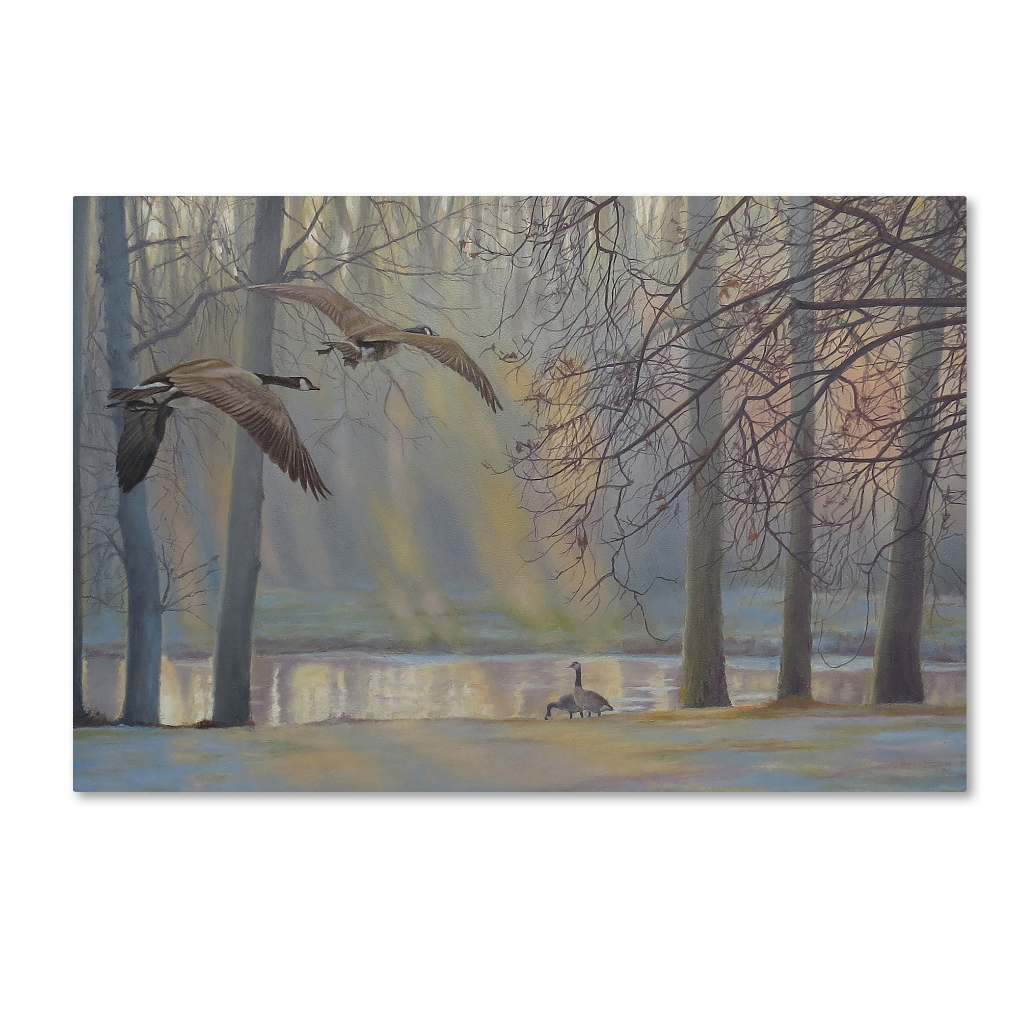 Trademark Fine Art 'Geese An Pond' Canvas Art by Rusty Frentner
