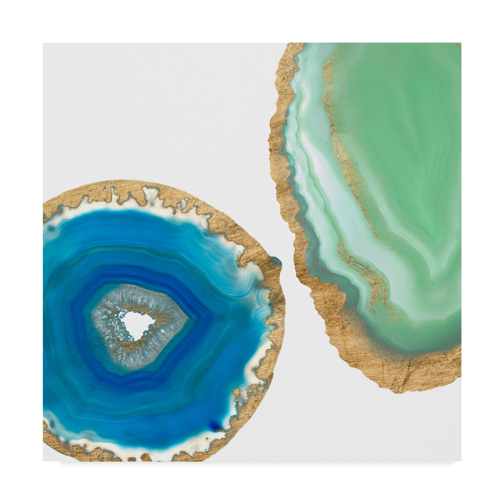 Trademark Fine Art 'Gem Stones III' Canvas Art by Jennifer Goldberger