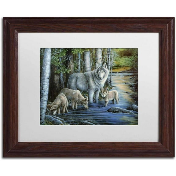 Trademark Fine Art 'Gentle Morning' Canvas Art by Jenny Newland, White Matte, Wood Frame