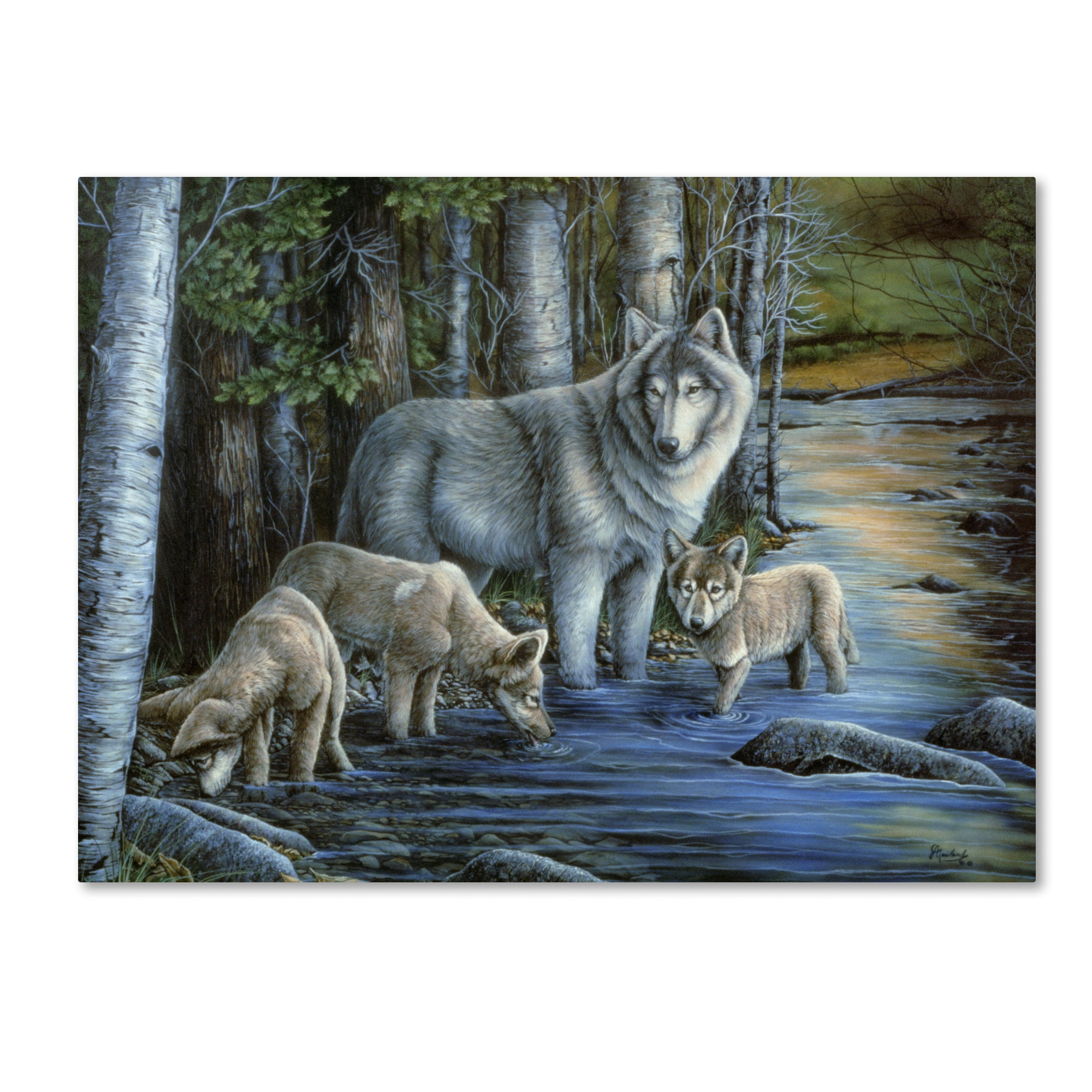 Trademark Fine Art 'Gentle Morning' Canvas Art by Jenny Newland