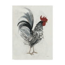 Trademark Fine Art 'Gents I' Canvas Art by Albena Hristova