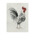 thumbnail image 1 of Trademark Fine Art 'Gents III' Canvas Art by Albena Hristova, 1 of 3