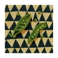 thumbnail image 1 of Trademark Fine Art 'Geo Veggies IV' Canvas Art by Emma Scarvey, 1 of 4
