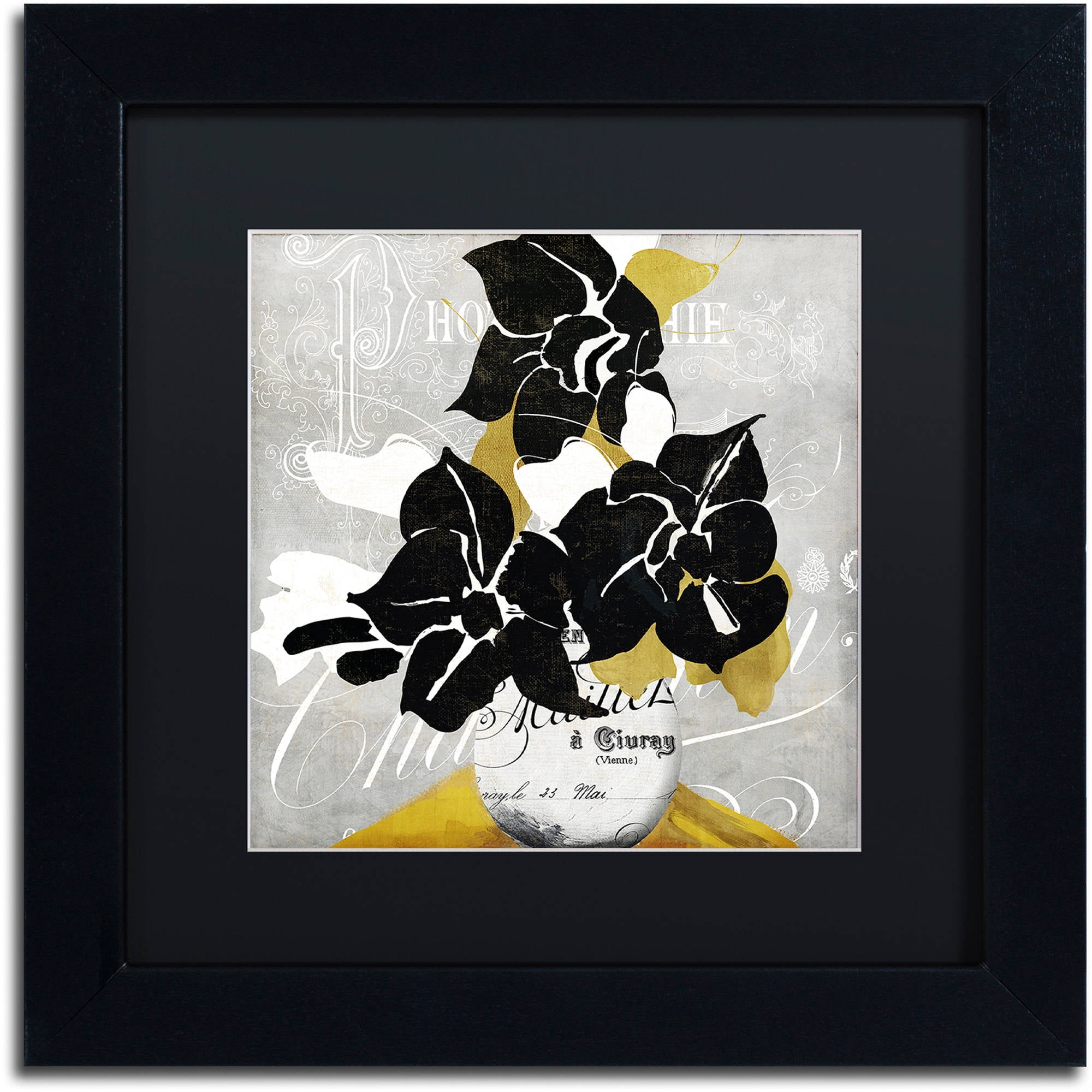 Trademark Fine Art "Georgette I" Canvas Art by Color Bakery Black Matte, Black Frame