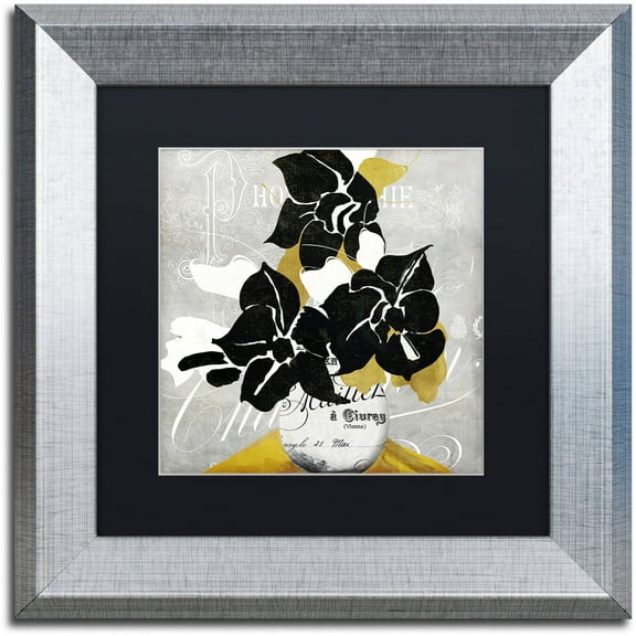 Trademark Fine Art "Georgette I" Canvas Art by Color Bakery Black Matte, Silver Frame