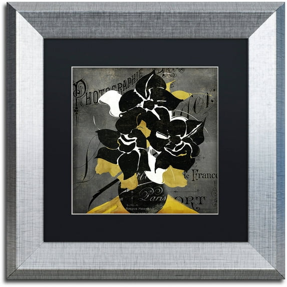 Trademark Fine Art "Georgette II" Canvas Art by Color Bakery Black Matte, Silver Frame