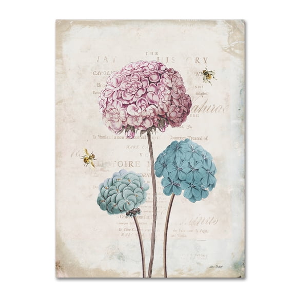 Trademark Fine Art 'Geranium Study I Pink Flower' Canvas Art by Katie Pertiet