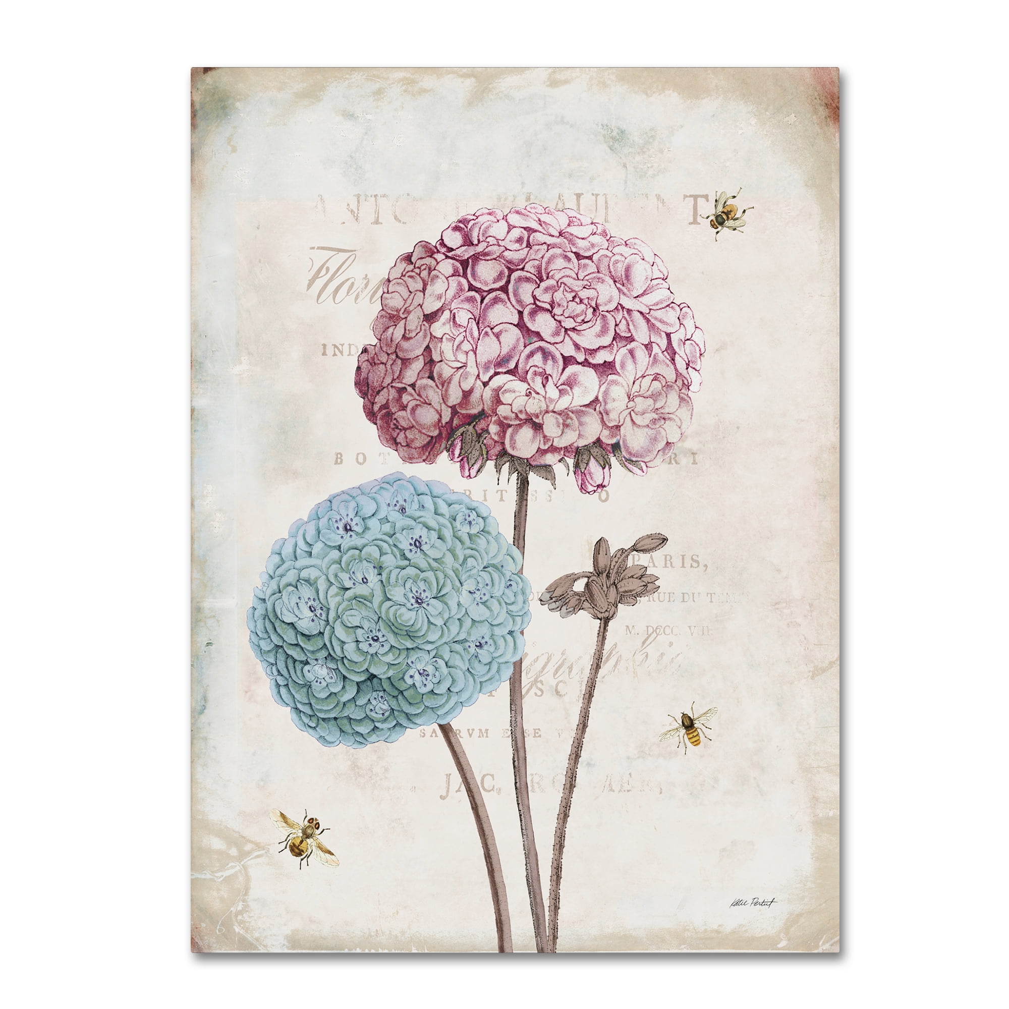 Trademark Fine Art 'Geranium Study II Pink Flower' Canvas Art by Katie Pertiet