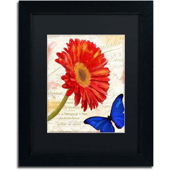 Trademark Fine Art "Gerbera Daisy" Canvas Art by Color Bakery Black Matte, Black Frame