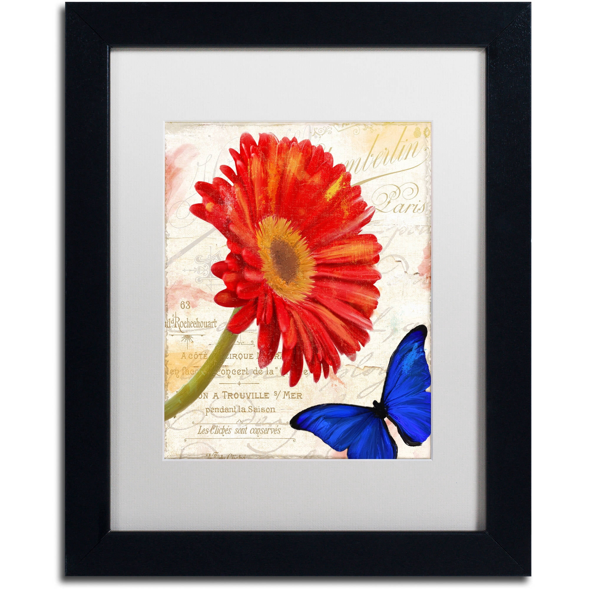 Trademark Fine Art "Gerbera Daisy" Canvas Art by Color Bakery White Matte, Black Frame
