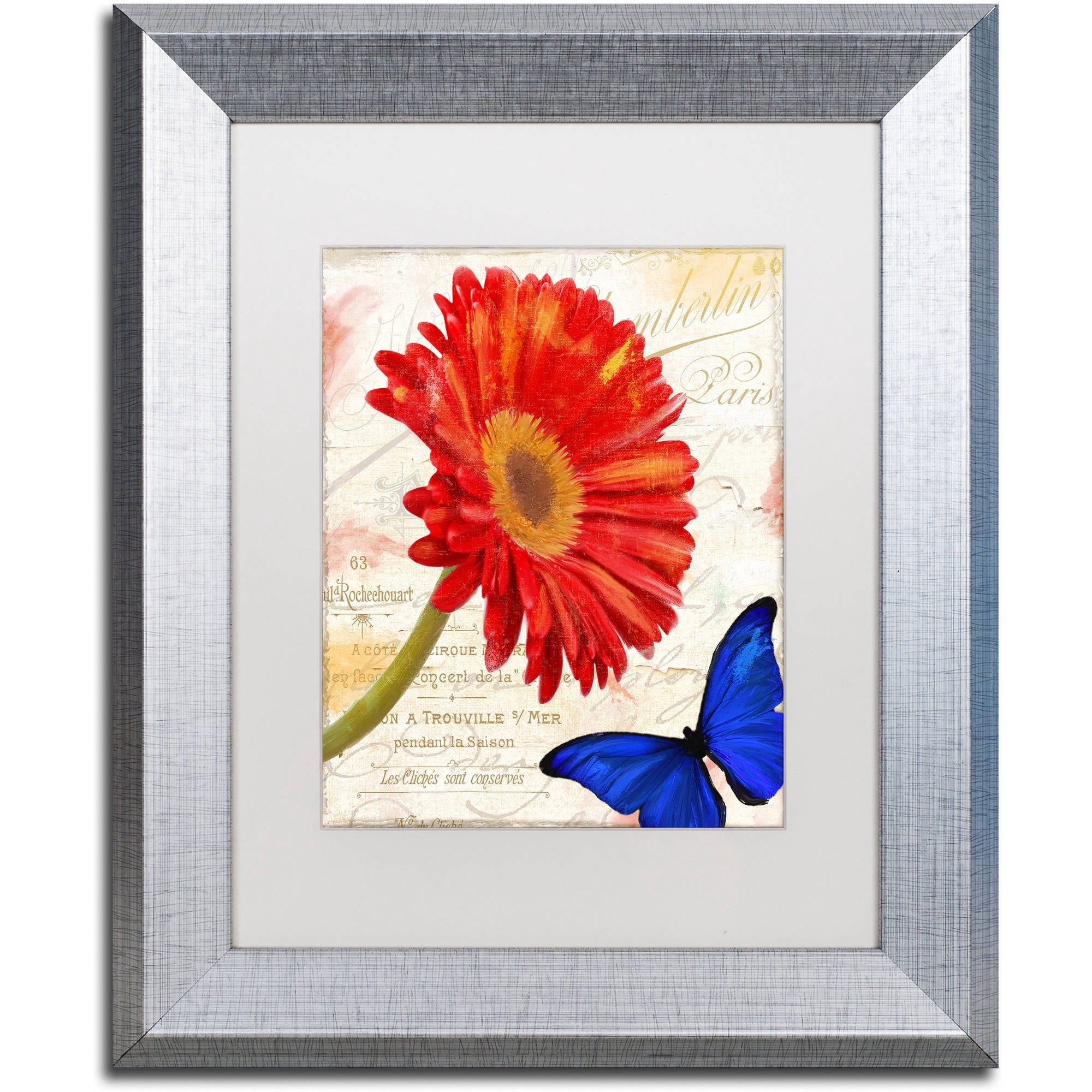 Trademark Fine Art "Gerbera Daisy" Canvas Art by Color Bakery White Matte, Silver Frame