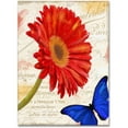 thumbnail image 1 of Trademark Fine Art "Gerbera Daisy" Canvas Art by Color Bakery, 1 of 3