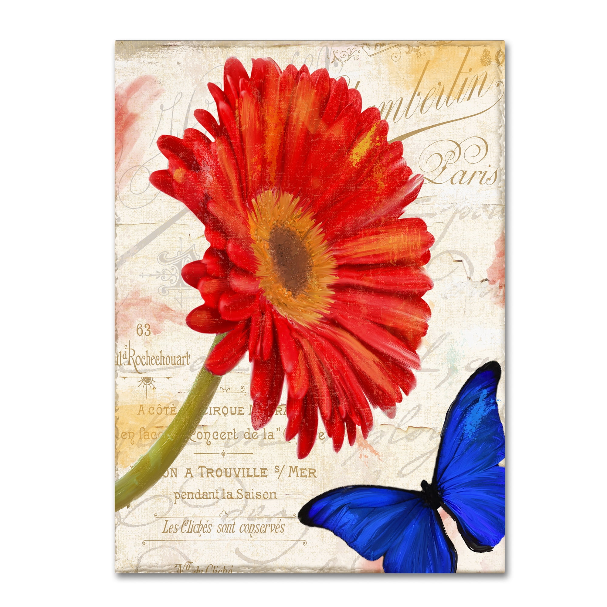 Trademark Fine Art "Gerbera Daisy" Canvas Art by Color Bakery