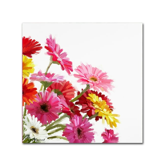 Trademark Fine Art 'Gerberas II' Canvas Art by The Macneil Studio