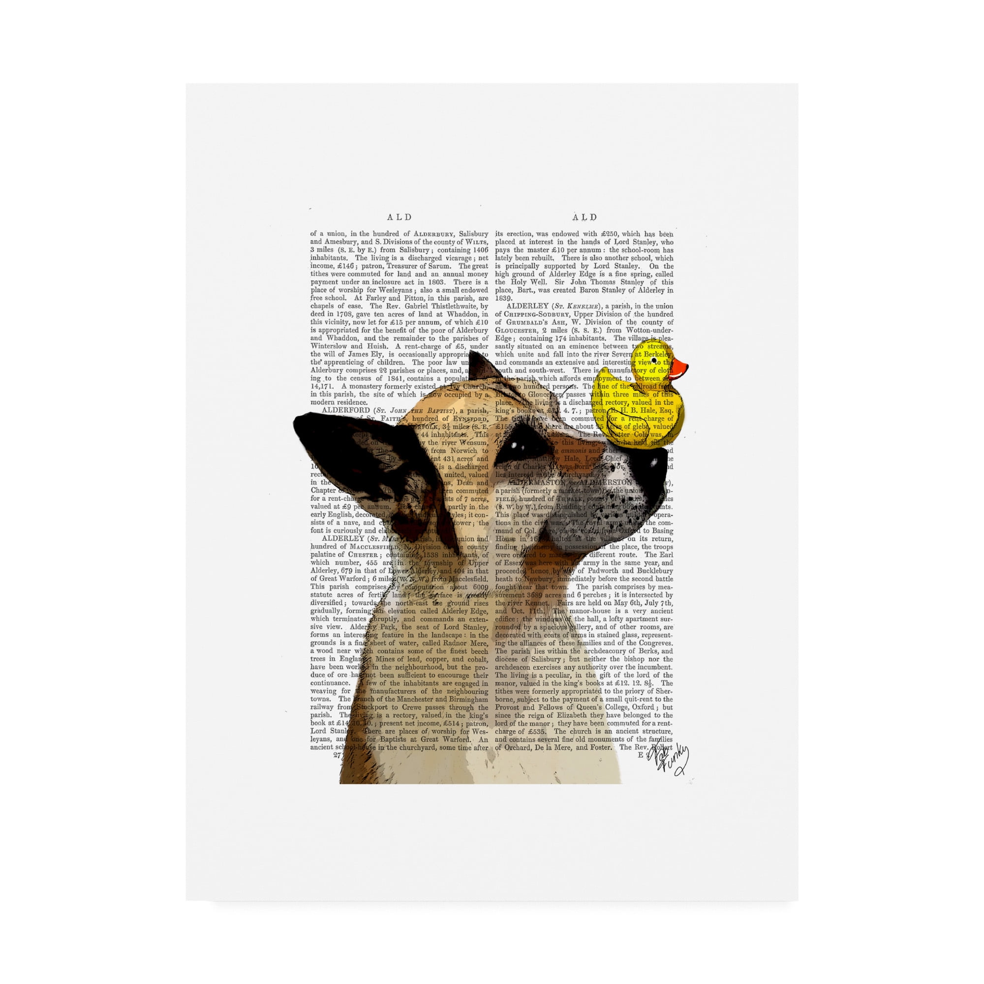 Trademark Fine Art 'German Shepherd, Dog And Duck' Canvas Art by Fab Funky