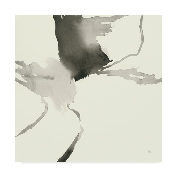 Trademark Fine Art 'Gesture II' Canvas Art by Chris Paschke