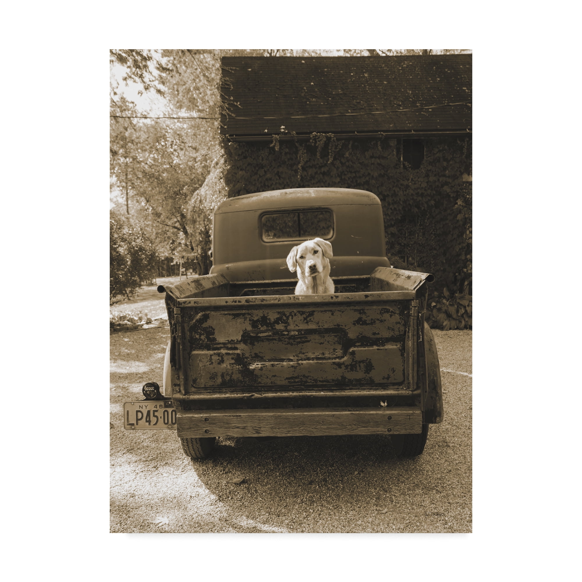 Trademark Fine Art 'Get Out of Dodge' Canvas Art by Jim Dratfield