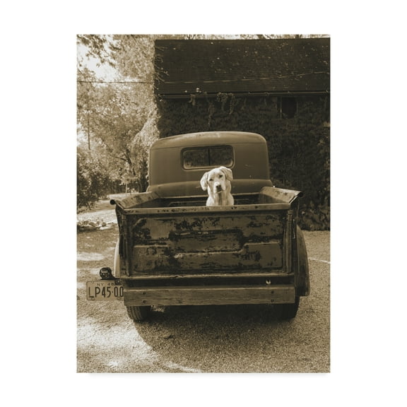 Trademark Fine Art 'Get Out of Dodge' Canvas Art by Jim Dratfield