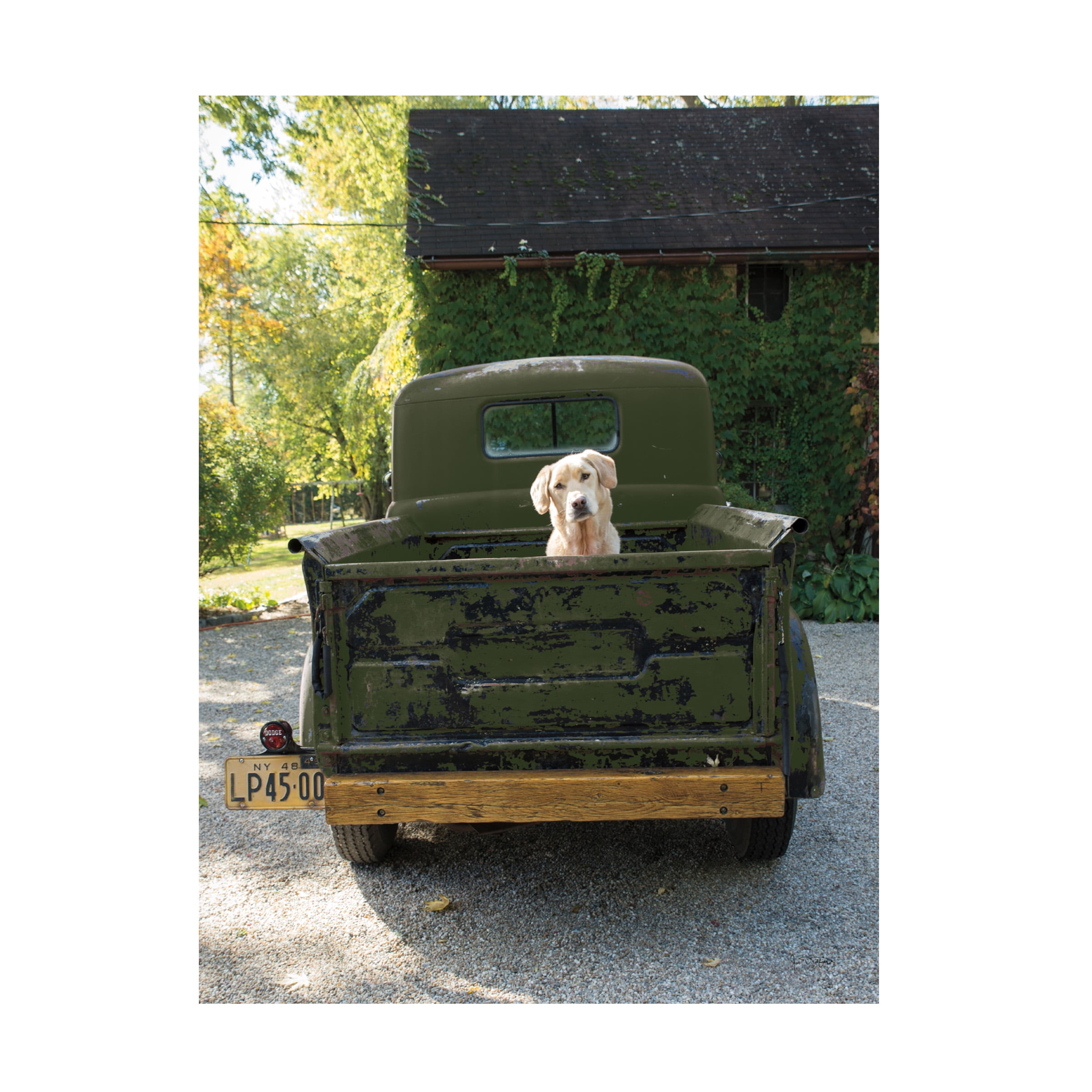 Trademark Fine Art 'Get Out of Dodge Hunter Green' Canvas Art by Jim Dratfield