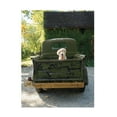 thumbnail image 1 of Trademark Fine Art 'Get Out of Dodge Hunter Green' Canvas Art by Jim Dratfield, 1 of 4