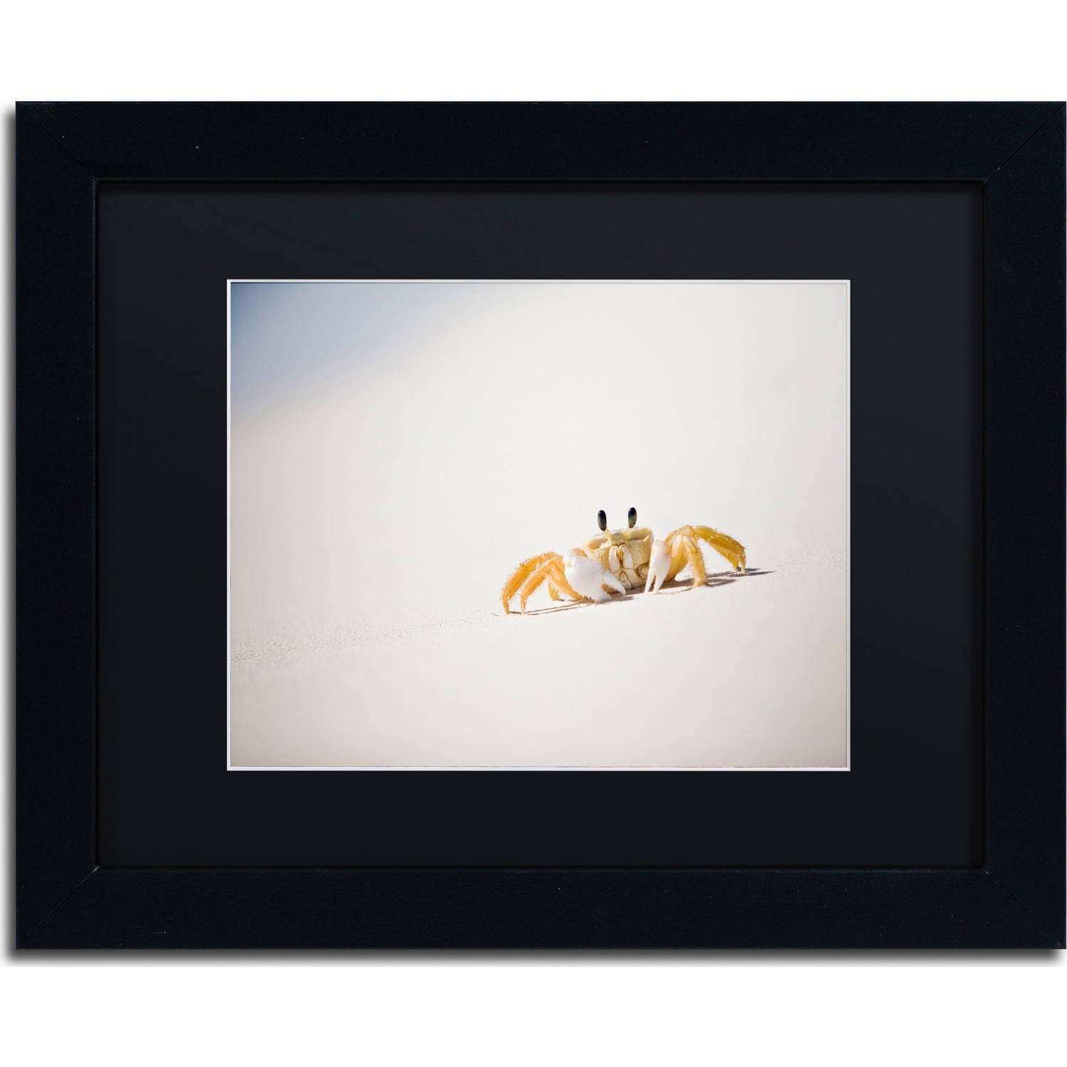 Trademark Fine Art "Ghost Crab 7" Canvas Art by Yale Gurney, Black Matte, Black Frame