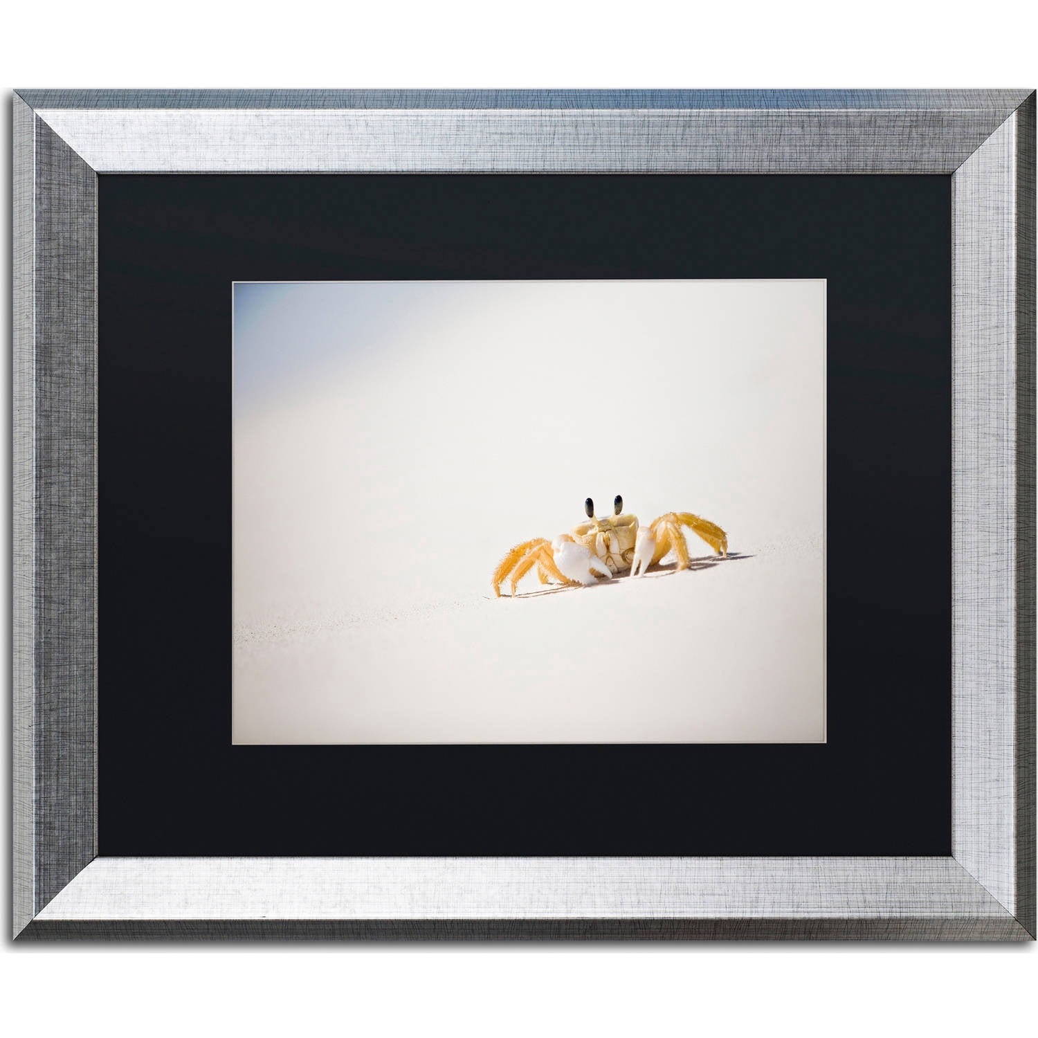 Trademark Fine Art "Ghost Crab 7" Canvas Art by Yale Gurney, Black Matte, Silver Frame