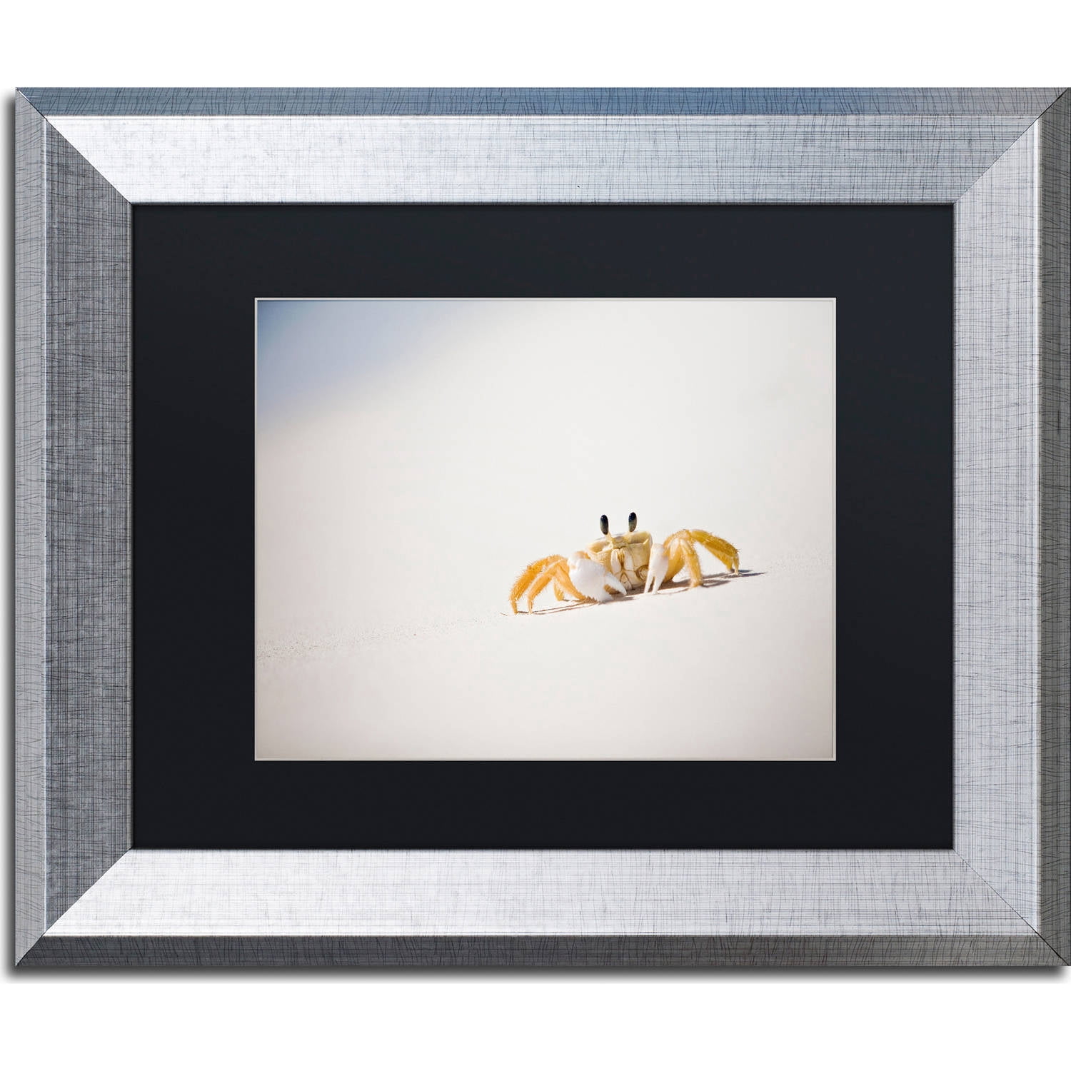 Trademark Fine Art "Ghost Crab 7" Canvas Art by Yale Gurney, Black Matte, Silver Frame