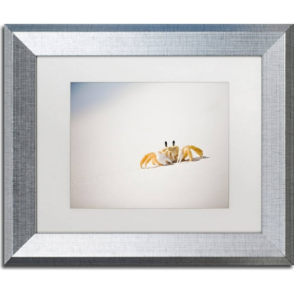 Trademark Fine Art "Ghost Crab 7" Canvas Art by Yale Gurney, White Matte, Silver Frame