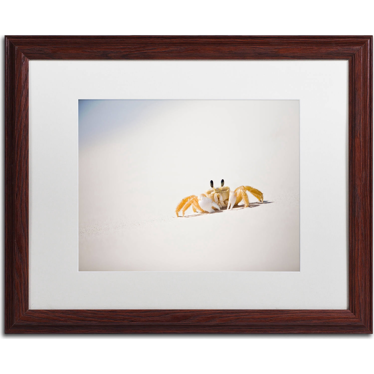 Trademark Fine Art "Ghost Crab 7" Canvas Art by Yale Gurney, White Matte, Wood Frame