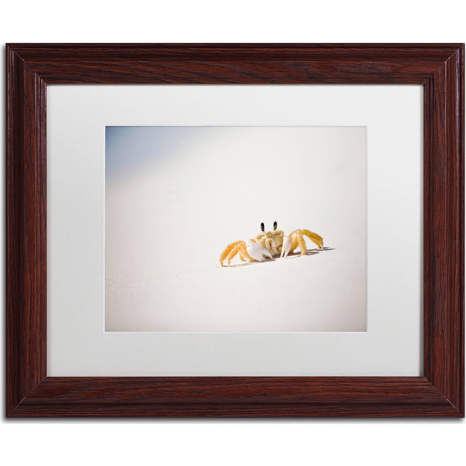 Trademark Fine Art "Ghost Crab 7" Canvas Art by Yale Gurney, White Matte, Wood Frame